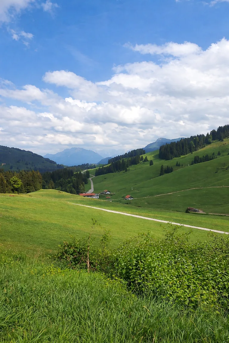Peisaj montan în apropierea proprietății