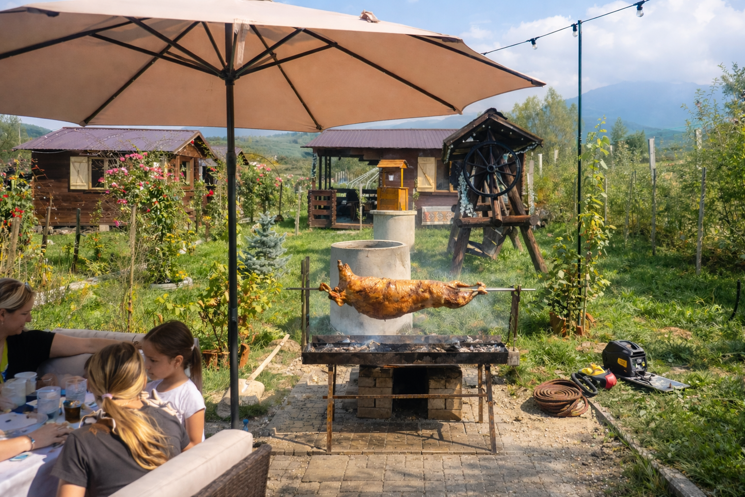 Zona de gratar in curte