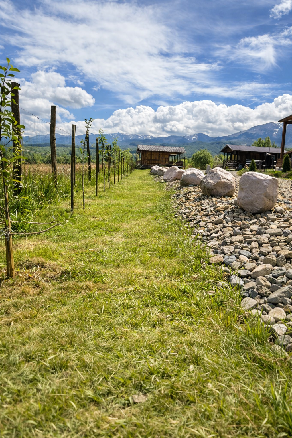 Curte cu vedere spre munti